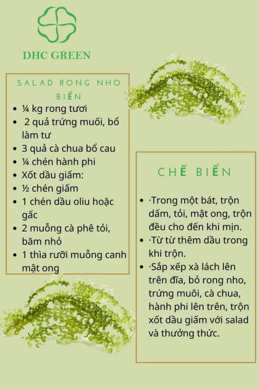 thuc-don-salad-rong-nho-biển-dhc-green